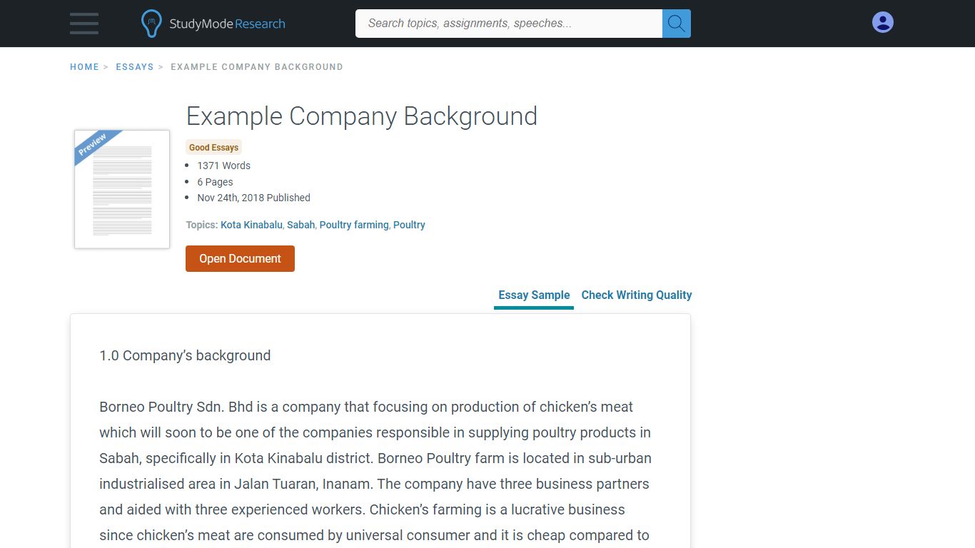 Example Company Background - 1371 Words | Studymode